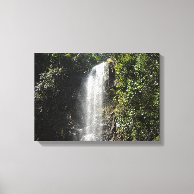 Toile Cascade à Kauai, Hawaï (Recto)