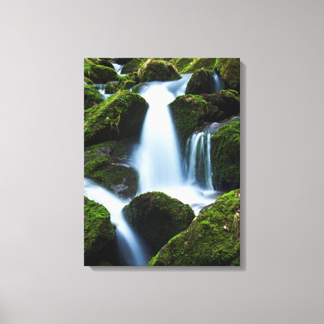 Toile Cascade Art-Toile (Recto)