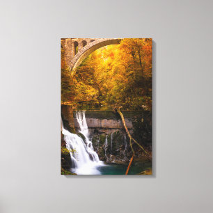 Toile Cascade dans le canyon de la gorge de Vintgar en a
