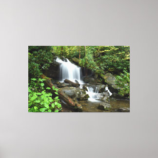 Toile Cascade dans le parc national des Smoky Mountain