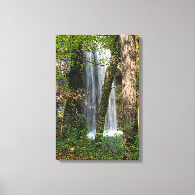 Toile Cascade Dans Les Bois (Recto)