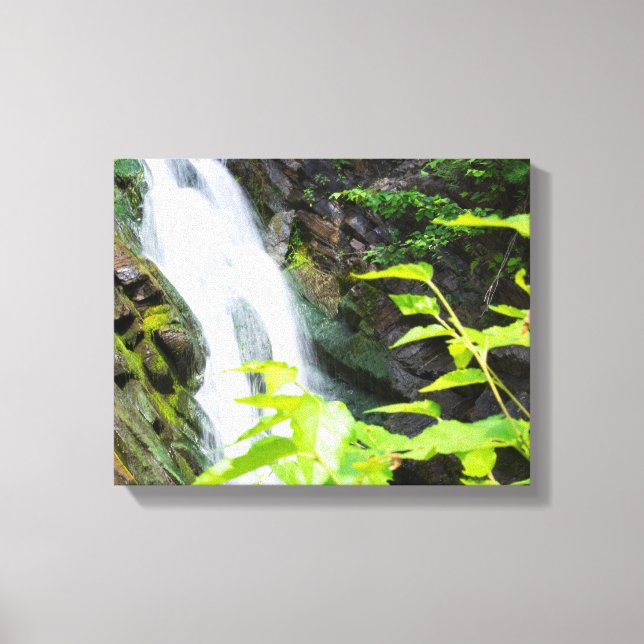 Toile Cascade de Hell's Gate Canyon (Recto)