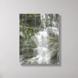 Toile Cascade de La Chute dans le parc national de Foril