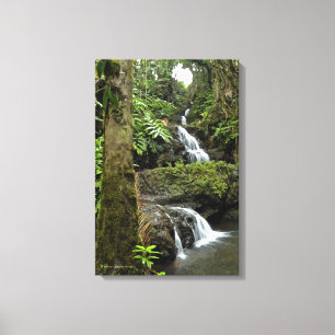 TOILE "CASCADE D'EAU DANS UN JARDIN TROPICAL HAWAÏEN"