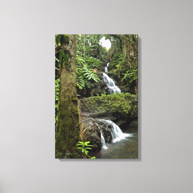 TOILE "CASCADE D'EAU DANS UN JARDIN TROPICAL HAWAÏEN" (Recto)