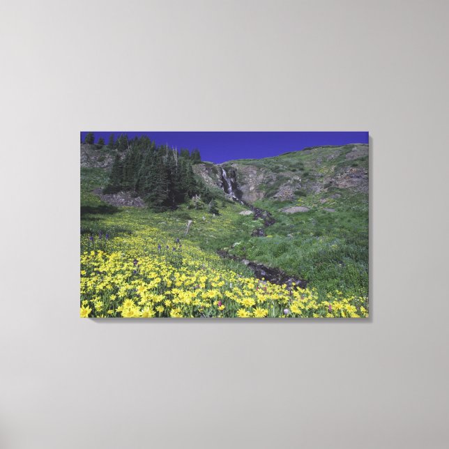 Toile Cascade et fleurs sauvages dans un pré alpin, 2 (Recto)