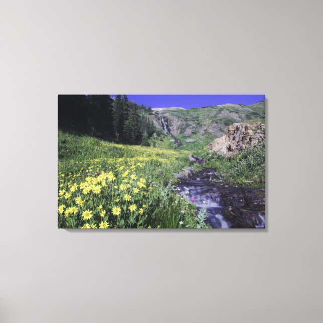 Toile Cascade et fleurs sauvages dans une prairie alpine (Recto)