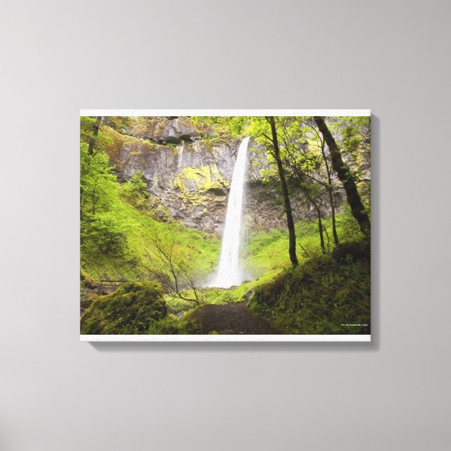 Toile Cascade floue autour de verdure luxuriante en Oreg (Recto)