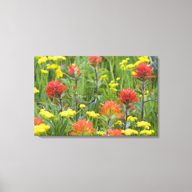 Toile Castilleja et biscuitroot fleurs sauvages (Recto)