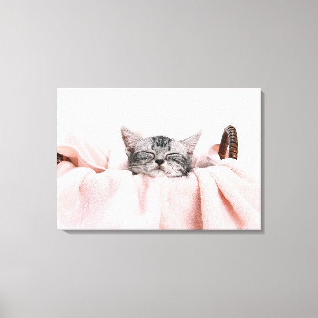 Toile Cat américain shorthair (Recto)