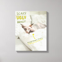 Cat effrayant
