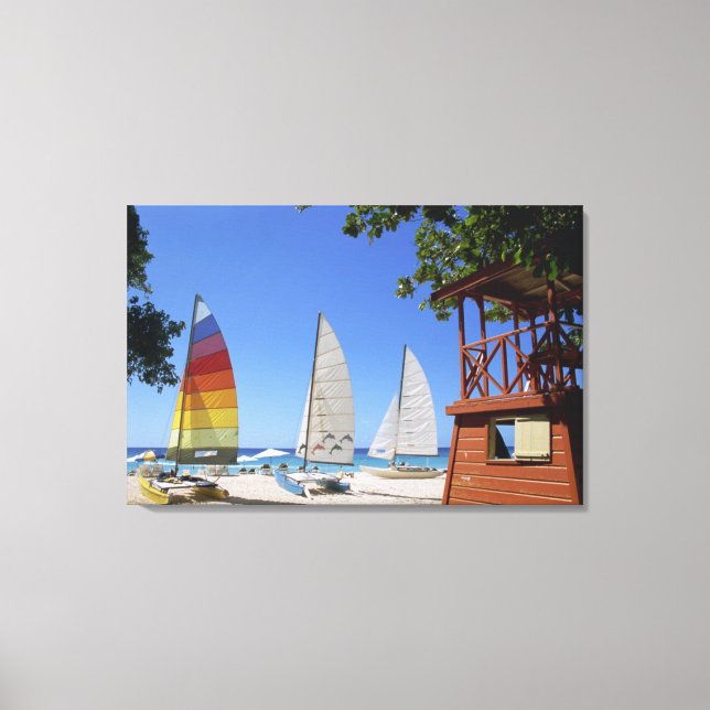 Toile Catamarans Et Gardien De Vie Se Trouvent Sur La Pl (Recto)