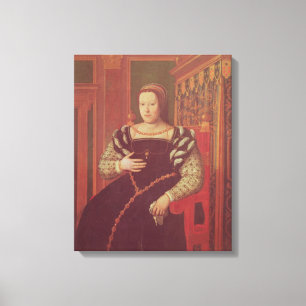 Toile Catherine de Medici, 1585-86