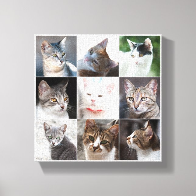 TOILE CATS - MODÈLE (Recto)