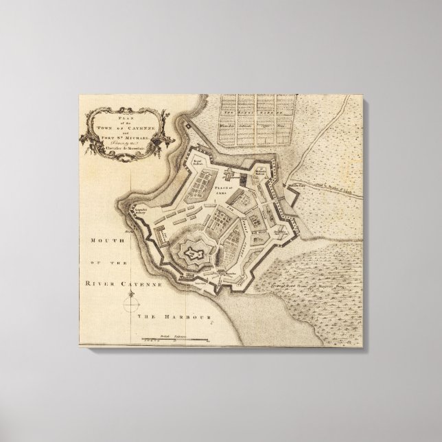 Toile Cayenne 2 (Recto)