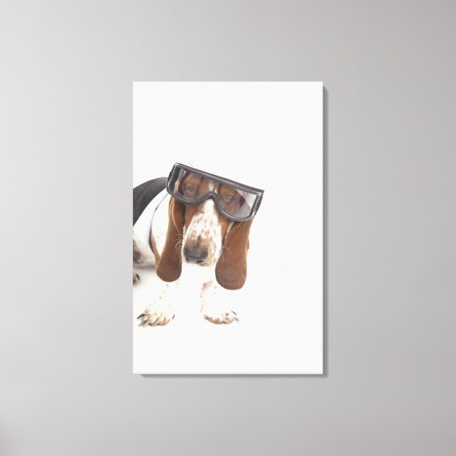 Toile Cecelia Erhart (Recto)