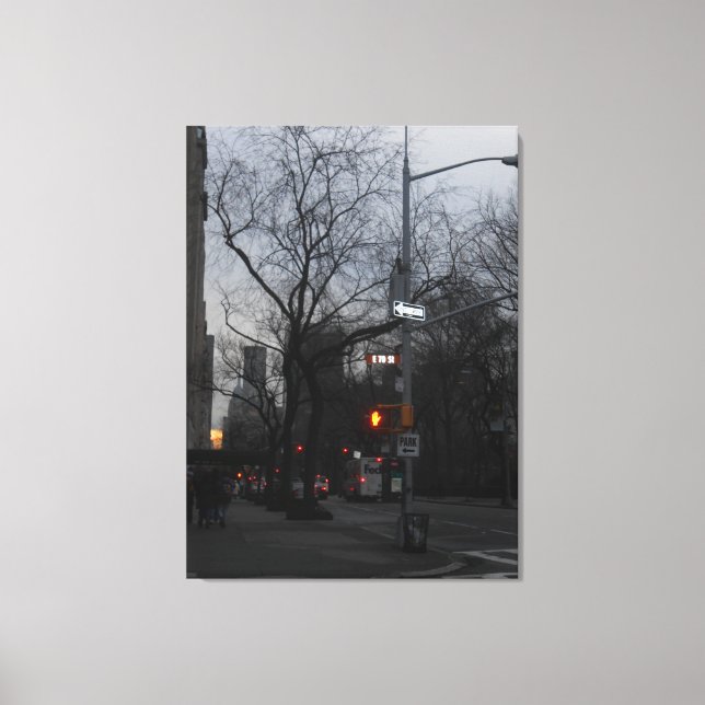 Toile Central Park, New York City, USA (Recto)