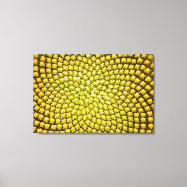 Toile Centre de tournesol géant (Helianthus annuus) (Recto)