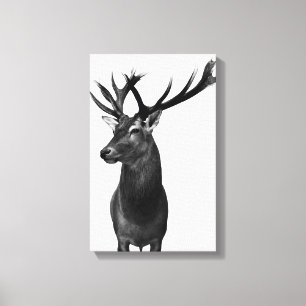 Toile Cerf