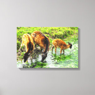 Toile Cerf animal