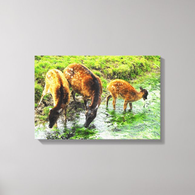 Toile Cerf animal (Recto)