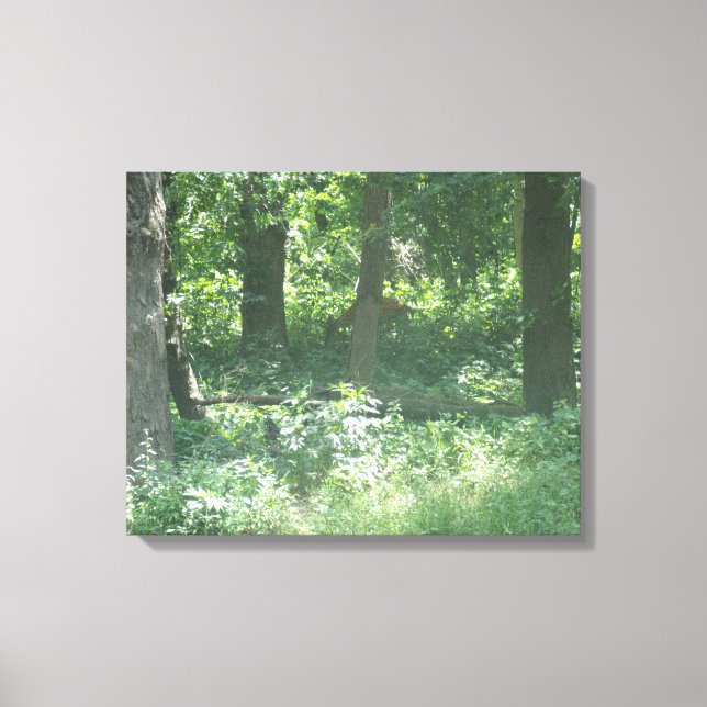 Toile Cerf blanc (Recto)