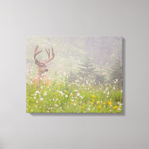 Toile Cerf Buck Parc national du mont Rainier