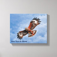 Cerf-volant rouge