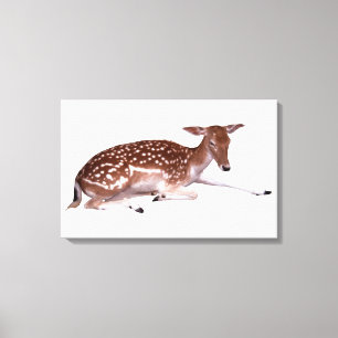 Toile cerfs communs 2