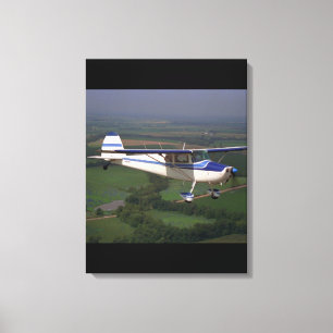 Toile Cessna 170, 1948, Classic Aviation