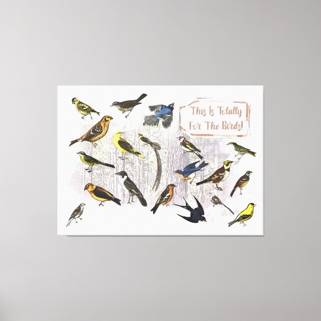 Toile C'est Totalement Pour Les Oiseaux (Recto)