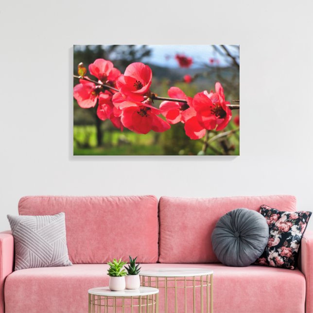 Toile Chaenomeles speciosa (Insitu(Salon))