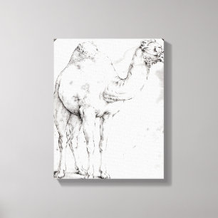 Toile Chameau