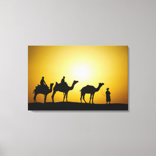 Toile Chameaux et chameau au coucher du soleil,