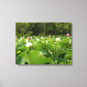 Toile Champ de fleurs de Lotus Jardin d'été