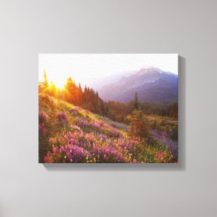 Toile Champ de lupine et de montagne olympique à