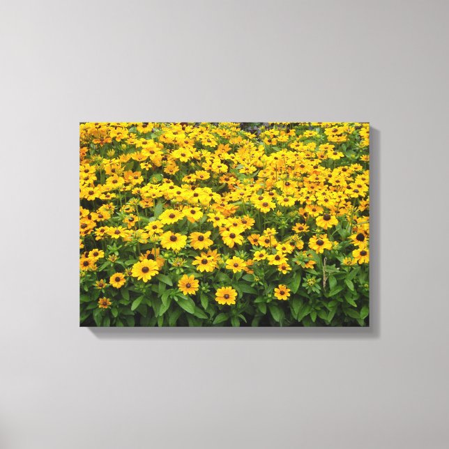 Toile Champ de Rudbeckies (Recto)