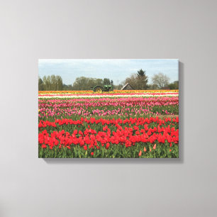Toile Champ de tulipe avec tracteur et grange
