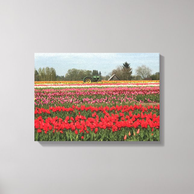 Toile Champ de tulipe avec tracteur et grange (Recto)