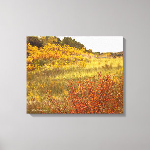 TOILE "CHAMP D'OR" IMPRIMER GLOSSE DE CANVAS