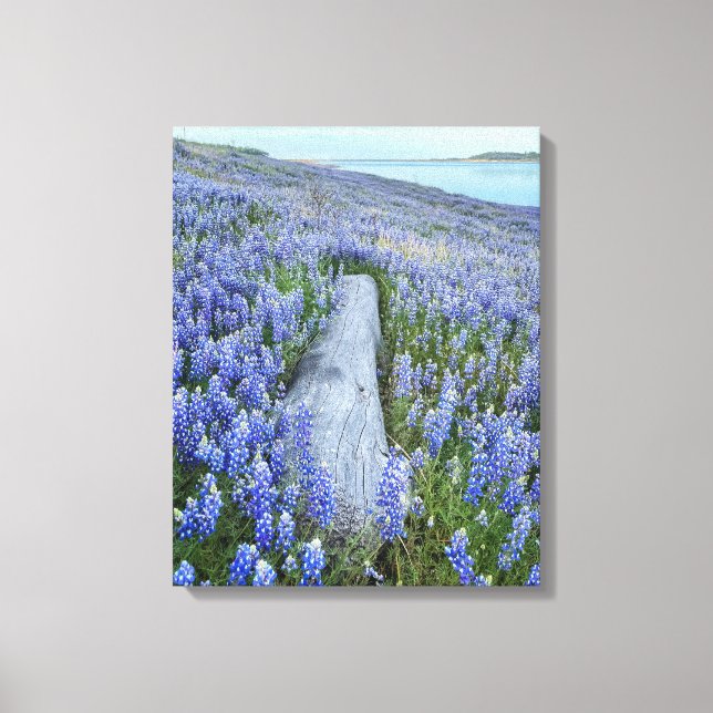 Toile Champ Lupine (Recto)