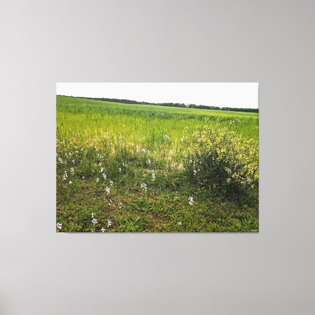 Toile Champ luxuriant avec fleurs sauvages (Recto)