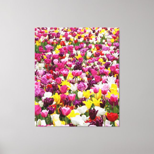 Toile champ plein de tulipes (Recto)