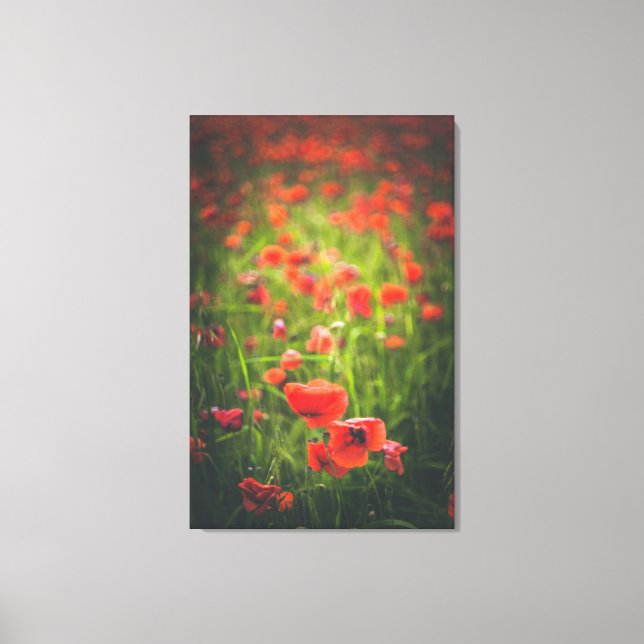 Toile Champ Poppies (Recto)