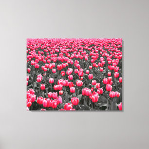 Toile Champ Tulipes roses