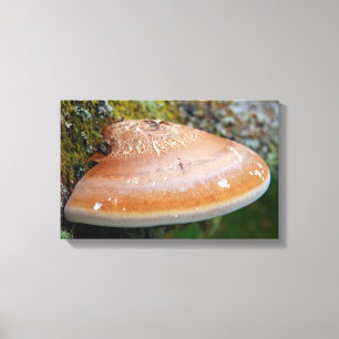 Toile champignon de la poignée