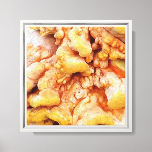 Toile Champignon Orange (Recto)
