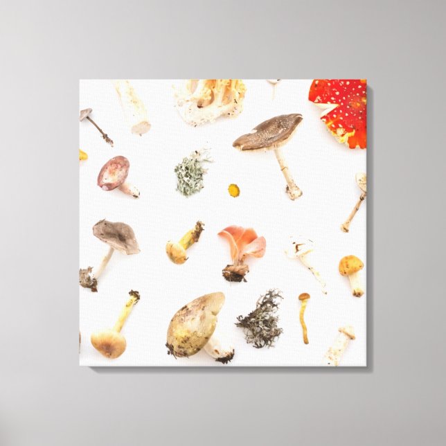Toile Champignons (Recto)