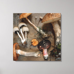 Toile Champignons d'amour des champignons