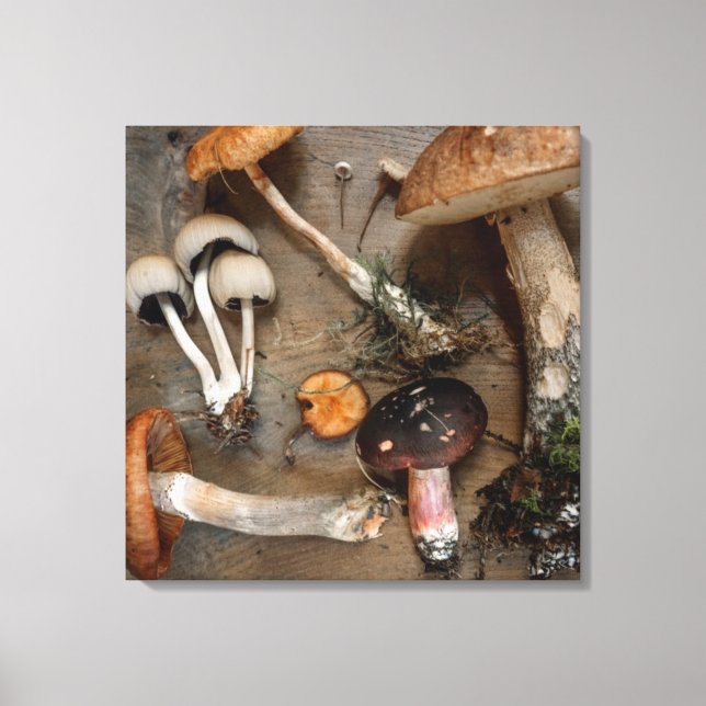 Toile Champignons d'amour des champignons (Recto)